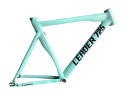2024 LEADER 725 with Carbon Aero Seat Post